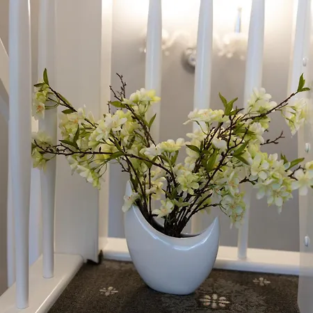 Willa Międzywodzie Dom wakacyjny *