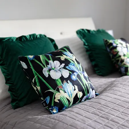 Willa Miedzywodzie *